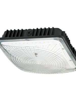 Medium Led Flush Mount Canopy