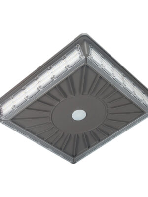 LED Garage Light