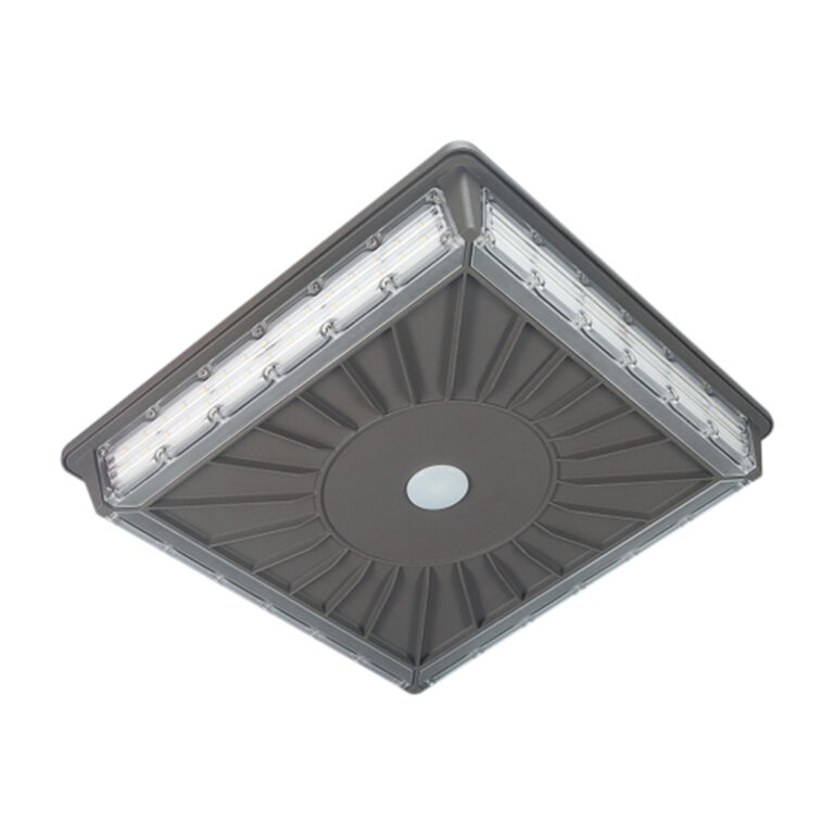 LED Garage Light